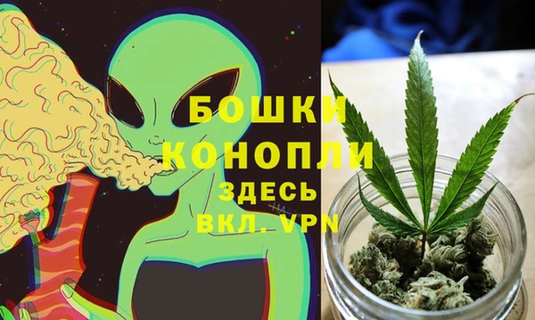 МДМА Бородино