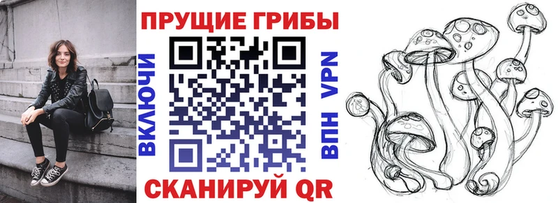 Галлюциногенные грибы ЛСД  Купить где  Куса 